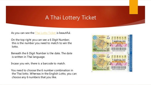 english lotto results today