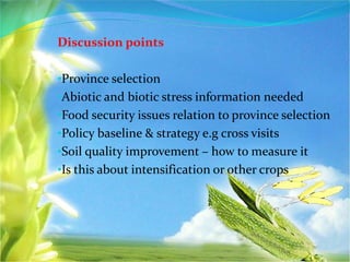 Discussion points
•Province selection
•Abiotic and biotic stress information needed
•Food security issues relation to province selection
•Policy baseline & strategy e.g cross visits
•Soil quality improvement – how to measure it
•Is this about intensification or other crops
 