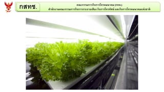 กสทช. คณะกรรมการกิจการโทรคมนาคม (กทค.)
สานักงานคณะกรรมการกิจการกระจายเสียง กิจการโทรทัศน์ และกิจการโทรคมนาคมแห่งชาติ
 