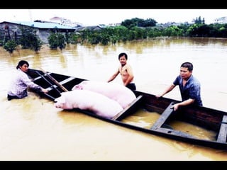 Thailand flooding