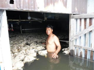Thailand flooding
