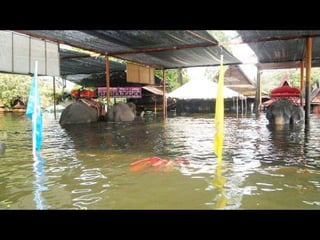 Thailand flooding