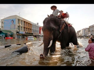 Thailand flooding