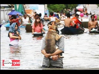Thailand flooding