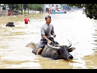 Thailand flooding