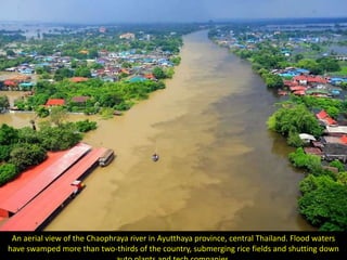 An aerial view of the Chaophraya river in Ayutthaya province, central Thailand. Flood waters
have swamped more than two-thirds of the country, submerging rice fields and shutting down
 