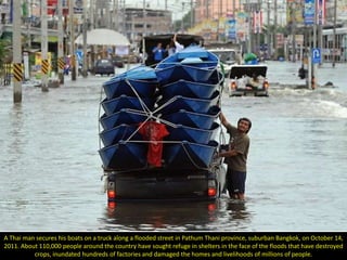 A Thai man secures his boats on a truck along a flooded street in Pathum Thani province, suburban Bangkok, on October 14,
2011. About 110,000 people around the country have sought refuge in shelters in the face of the floods that have destroyed
          crops, inundated hundreds of factories and damaged the homes and livelihoods of millions of people.
 