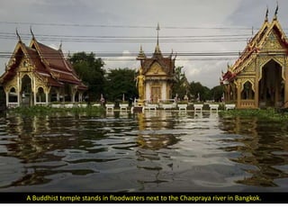 A Buddhist temple stands in floodwaters next to the Chaopraya river in Bangkok.
 