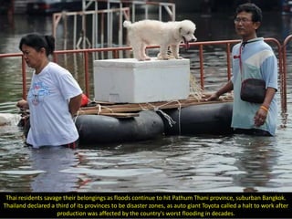 Thai residents savage their belongings as floods continue to hit Pathum Thani province, suburban Bangkok.
Thailand declared a third of its provinces to be disaster zones, as auto giant Toyota called a halt to work after
                     production was affected by the country's worst flooding in decades.
 