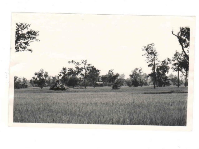 Agent Orange And Thailand Veterans Agent Orange And Thailand Veterans