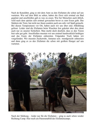 Nach de Kanufahrt, ging es mit dem Auto zu den Elefanten die schon auf uns
warteten. Wie auf dem Bild zu sehen, haben die Zwei sich erstmal ein Bad
gegönnt und anschließen gab es was zu essen. Wie bei Menschen auch üblich,
wird nach dem spielen sich erstmal gewaschen bevor es zum Essen geht. Das
Säubern der Tiere, hat nicht nur ihnen sondern auch uns sehr viel Spaß gemacht.
Bei diesen Temperaturen vor Ort, haben auch wir uns über eine Abkühlung
gefreut. Leider sind die Elefanten beim Waschen fest gekettet aber dies dient
auch nur zu unserer Sicherheit. Man merkt doch deutlich, dass es den Tieren
hier sehr gut geht. Anschließen mussten wir uns erstmal handwerklich betätigen
und das Essen der Elefanten zubereiten. Folgenden Tisch haben wir
vorgefunden. Wir mussten Zuckerrohr, Annanas usw. mundgerecht zubereiten
und dann ging es zu den Elefanten die schon mit großem Hunger auf uns
warteten.
Nach der Stärkung – leider nur für die Elefanten – ging es auch schon wieder
Richtung Camp. Hier noch ein Panoramabild des Elefantencamps.
 