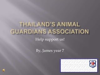 Thailand’s Animal Guardians AssociationHelp support us!By, James year 7