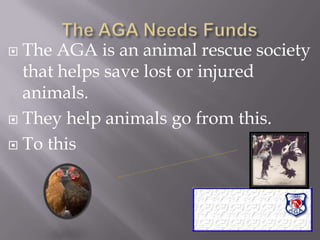 The AGA Needs FundsThe AGA is an animal rescue society that helps save lost or injured animals.They help animals go from this.  To this 