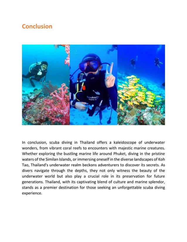 Thailand’s Aquatic Tapestry: Diving into the Deep  PDF