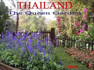 THAILAND The Queen Garden Music 