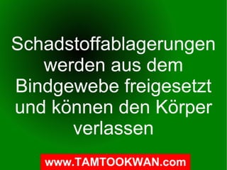 Schadstoffablagerungen werden aus dem Bindgewebe freigesetzt und können den Körper verlassen 