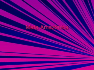 Mata Amazônica 