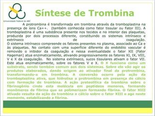 Síntese de Trombina
         A protrombina é transformada em trombina através da tromboplastina na
presença de íons Ca++. (também conhecida como fator tissular ou Fator III). A
tromboplastina é uma substância presente nos tecidos e no interior das plaquetas,
produzida por dois processos diferente, constituindo os sistemas intrínseco e
extrínseco                             de                             coagulação.
O sistema intrínseco compreende os fatores presentes no plasma, associado ao Ca e
às plaquetas. No contato com uma superfície diferente do endotélio vascular é
removido o inibidor da coagulação e nessa eventualidade o fator XII (Fator
Hageman) atua enzimaticamente, ativando progressivamente os fatores XI, IX, VIII,
V e X da coagulação. No sistema extrínseco, sucos tissulares ativam o fator VII.
Este atua enzimaticamente, sobre os fatores V e X. O X funciona como um
substrato, sendo também comum aos dois sistemas. Sobre ele vão agir os
produtos elaborados, dando origem ao ativador final da protrombina,
transformando-a em trombina. A conversão ocorre pela ação da
tromboplastina ativa, que hidrolisa a protrombina em presença de cálcio
com formação de trombina. A ação proteolítica da trombina sobre o
fibrinogênio cinde esta molécula em peptídeos menores, formando
monômeros de fibrina que se polimerizam formando fibrina. O fator XIII
ativado resulta da ação da trombina e cálcio sobre o fator XIII e age neste
momento, estabilizando a fibrina.
 