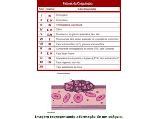 Imagem representando a formação de um coágulo.
 