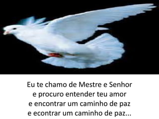 Eu te chamo de Mestre e Senhore procuro entender teu amore encontrar um caminho de paze econtrar um caminho de paz...