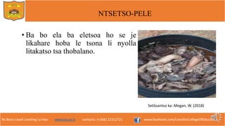 Re Bona Leseli Leseling La Hao. www.lce.ac.ls contacts: (+266) 22312721 www.facebook.com/LesothoCollegeOfEducation
NTSETSO-PELE
• Ba bo ela ba eletsoa ho se je
likahare hoba le tsona li nyolla
litakatso tsa thobalano.
Setšoantso ka: Megan, W. (2018)
 