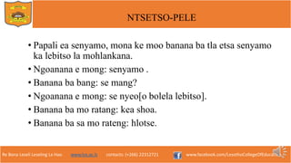 Re Bona Leseli Leseling La Hao. www.lce.ac.ls contacts: (+266) 22312721 www.facebook.com/LesothoCollegeOfEducation
NTSETSO-PELE
• Papali ea senyamo, mona ke moo banana ba tla etsa senyamo
ka lebitso la mohlankana.
• Ngoanana e mong: senyamo .
• Banana ba bang: se mang?
• Ngoanana e mong: se nyeo[o bolela lebitso].
• Banana ba mo ratang: kea shoa.
• Banana ba sa mo rateng: hlotse.
 