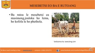 Re Bona Leseli Leseling La Hao. www.lce.ac.ls contacts: (+266) 22312721 www.facebook.com/LesothoCollegeOfEducation
MESEBETSI EO BA E RUTOANG
• Ba rutoa le mesebetsi ea
masimong,joaloka ho lema,
ho kofola le ho phethola.
Setšoantso ka: www.bing.com
 