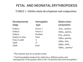 11
FETAL AND NEONATAL ERYTHROPOIESIS
TABLE 1. Globin-chain development and composition
Developmental
stage
Hemoglobin
type
Globin-chain
composition
Embryo
Embryo
Embryo
Embryo to fetus
Fetus to adult
Adult
Adult
Gower 1
Gower 2
Portland
Fetal
A
A2
Fetal
Zeta2 , epsilon2
a
Alpha2, epsilon2
Zeta2, gamma2
Alpha2, gamma2
Alpha2, beta2
Alpha2, delta2
Alpha2, gamma2
b
a
This tetramer may be an epsilon tetrad.
b
Fetal hemoglobin produced by adults has a different amino acid
heterogeneity of the gamma chain at the 136 position than fetal hemoglobin
 
