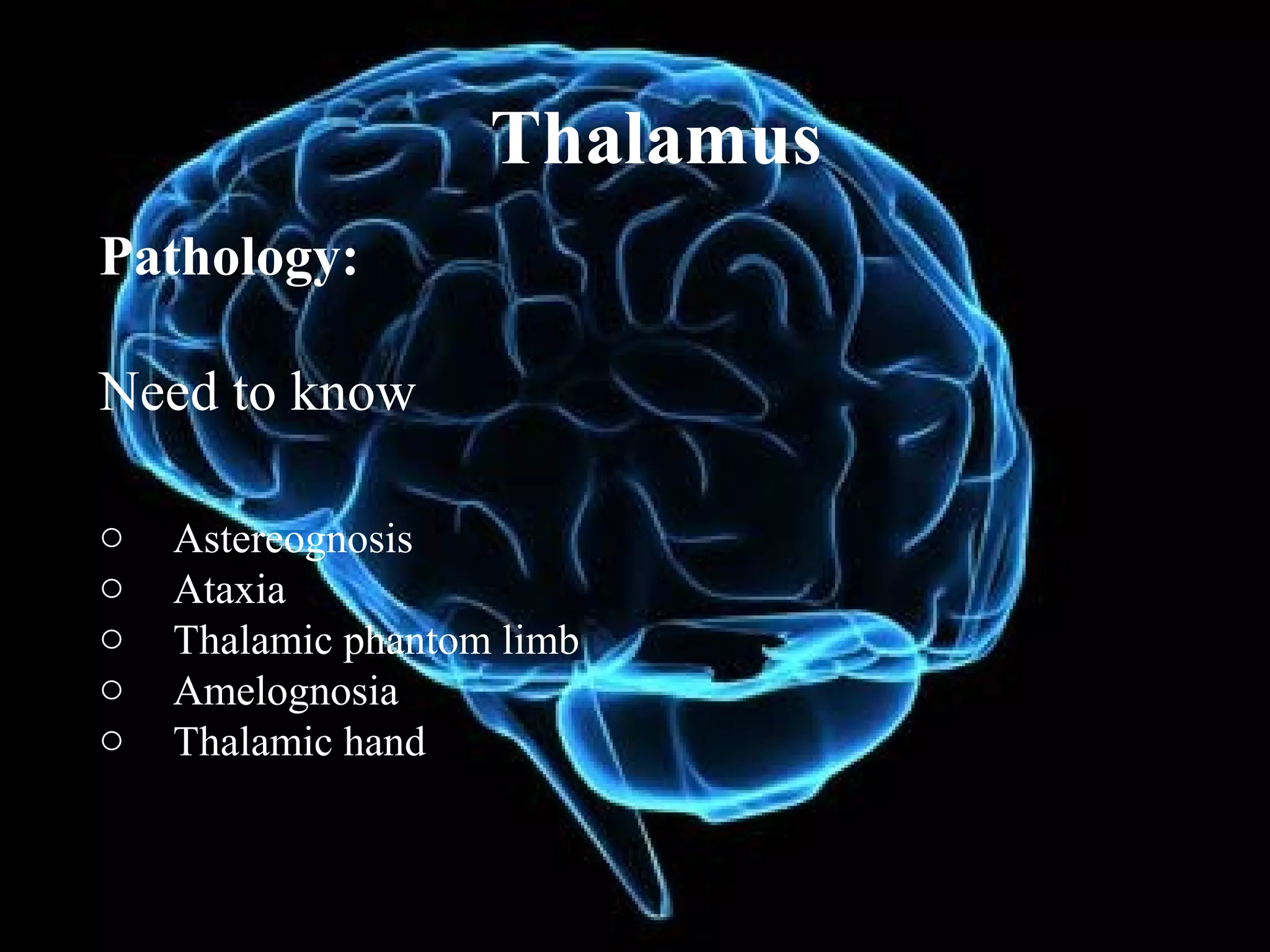 Thalamus
Pathology:

Need to know

o   Astereognosis
o   Ataxia
o   Thalamic phantom limb
o   Amelognosia
o   Thalamic hand
 