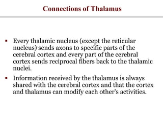 Connections of Thalamus
 Every thalamic nucleus (except the reticular
nucleus) sends axons to specific parts of the
cerebral cortex and every part of the cerebral
cortex sends reciprocal fibers back to the thalamic
nuclei.
 Information received by the thalamus is always
shared with the cerebral cortex and that the cortex
and thalamus can modify each other's activities.
 