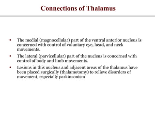 Connections of Thalamus
 The medial (magnocellular) part of the ventral anterior nucleus is
concerned with control of voluntary eye, head, and neck
movements.
 The lateral (parvicellular) part of the nucleus is concerned with
control of body and limb movements.
 Lesions in this nucleus and adjacent areas of the thalamus have
been placed surgically (thalamotomy) to relieve disorders of
movement, especially parkinsonism
 