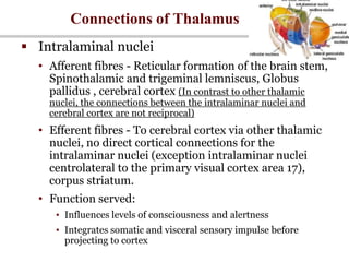 Connections of Thalamus
 Intralaminal nuclei
• Afferent fibres - Reticular formation of the brain stem,
Spinothalamic and trigeminal lemniscus, Globus
pallidus , cerebral cortex (In contrast to other thalamic
nuclei, the connections between the intralaminar nuclei and
cerebral cortex are not reciprocal)
• Efferent fibres - To cerebral cortex via other thalamic
nuclei, no direct cortical connections for the
intralaminar nuclei (exception intralaminar nuclei
centrolateral to the primary visual cortex area 17),
corpus striatum.
• Function served:
• Influences levels of consciousness and alertness
• Integrates somatic and visceral sensory impulse before
projecting to cortex
 