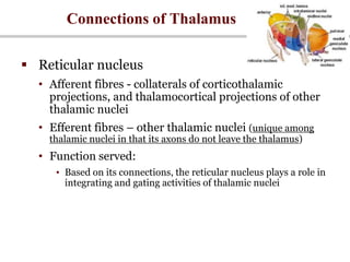 Connections of Thalamus
 Reticular nucleus
• Afferent fibres - collaterals of corticothalamic
projections, and thalamocortical projections of other
thalamic nuclei
• Efferent fibres – other thalamic nuclei (unique among
thalamic nuclei in that its axons do not leave the thalamus)
• Function served:
• Based on its connections, the reticular nucleus plays a role in
integrating and gating activities of thalamic nuclei
 