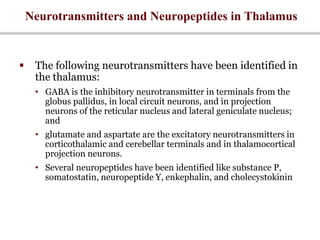 Neurotransmitters and Neuropeptides in Thalamus
 The following neurotransmitters have been identified in
the thalamus:
• GABA is the inhibitory neurotransmitter in terminals from the
globus pallidus, in local circuit neurons, and in projection
neurons of the reticular nucleus and lateral geniculate nucleus;
and
• glutamate and aspartate are the excitatory neurotransmitters in
corticothalamic and cerebellar terminals and in thalamocortical
projection neurons.
• Several neuropeptides have been identified like substance P,
somatostatin, neuropeptide Y, enkephalin, and cholecystokinin
 