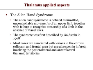 Thalamus applied aspects
 The Alien Hand Syndrome
• The alien hand syndrome is defined as unwilled,
uncontrollable movements of an upper limb together
with failure to recognize ownership of a limb in the
absence of visual cues.
• The syndrome was first described by Goldstein in
1908
• Most cases are associated with lesions in the corpus
callosum and frontal area but are also seen in infarcts
involving the posterolateral and anterolateral
thalamic territories
 