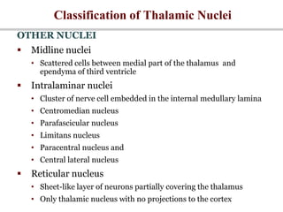 Classification of Thalamic Nuclei
OTHER NUCLEI
 Midline nuclei
• Scattered cells between medial part of the thalamus and
ependyma of third ventricle
 Intralaminar nuclei
• Cluster of nerve cell embedded in the internal medullary lamina
• Centromedian nucleus
• Parafascicular nucleus
• Limitans nucleus
• Paracentral nucleus and
• Central lateral nucleus
 Reticular nucleus
• Sheet-like layer of neurons partially covering the thalamus
• Only thalamic nucleus with no projections to the cortex
 