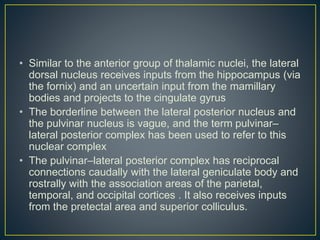 • Similar to the anterior group of thalamic nuclei, the lateral
dorsal nucleus receives inputs from the hippocampus (via
the fornix) and an uncertain input from the mamillary
bodies and projects to the cingulate gyrus
• The borderline between the lateral posterior nucleus and
the pulvinar nucleus is vague, and the term pulvinar–
lateral posterior complex has been used to refer to this
nuclear complex
• The pulvinar–lateral posterior complex has reciprocal
connections caudally with the lateral geniculate body and
rostrally with the association areas of the parietal,
temporal, and occipital cortices . It also receives inputs
from the pretectal area and superior colliculus.
 