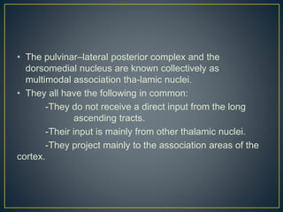 • The pulvinar–lateral posterior complex and the
dorsomedial nucleus are known collectively as
multimodal association tha-lamic nuclei.
• They all have the following in common:
-They do not receive a direct input from the long
ascending tracts.
-Their input is mainly from other thalamic nuclei.
-They project mainly to the association areas of the
cortex.
 