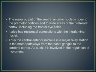 • The major output of the ventral anterior nucleus goes to
the premotor cortices and to wide areas of the prefrontal
cortex, including the frontal eye fields.
• It also has reciprocal connections with the intralaminar
nuclei.
• Thus the ventral anterior nucleus is a major relay station
in the motor pathways from the basal ganglia to the
cerebral cortex. As such, it is involved in the regulation of
movement.
 