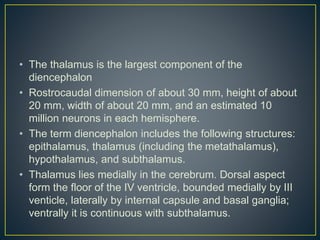 • The thalamus is the largest component of the
diencephalon
• Rostrocaudal dimension of about 30 mm, height of about
20 mm, width of about 20 mm, and an estimated 10
million neurons in each hemisphere.
• The term diencephalon includes the following structures:
epithalamus, thalamus (including the metathalamus),
hypothalamus, and subthalamus.
• Thalamus lies medially in the cerebrum. Dorsal aspect
form the floor of the IV ventricle, bounded medially by III
venticle, laterally by internal capsule and basal ganglia;
ventrally it is continuous with subthalamus.
 