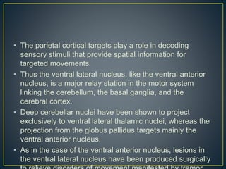 • The parietal cortical targets play a role in decoding
sensory stimuli that provide spatial information for
targeted movements.
• Thus the ventral lateral nucleus, like the ventral anterior
nucleus, is a major relay station in the motor system
linking the cerebellum, the basal ganglia, and the
cerebral cortex.
• Deep cerebellar nuclei have been shown to project
exclusively to ventral lateral thalamic nuclei, whereas the
projection from the globus pallidus targets mainly the
ventral anterior nucleus.
• As in the case of the ventral anterior nucleus, lesions in
the ventral lateral nucleus have been produced surgically
 