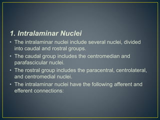 1. Intralaminar Nuclei
• The intralaminar nuclei include several nuclei, divided
into caudal and rostral groups.
• The caudal group includes the centromedian and
parafascicular nuclei.
• The rostral group includes the paracentral, centrolateral,
and centromedial nuclei.
• The intralaminar nuclei have the following afferent and
efferent connections:
 