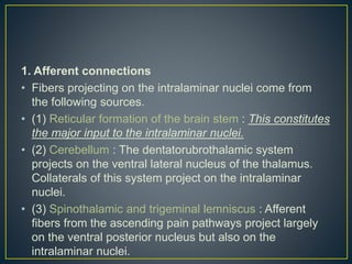 1. Afferent connections
• Fibers projecting on the intralaminar nuclei come from
the following sources.
• (1) Reticular formation of the brain stem : This constitutes
the major input to the intralaminar nuclei.
• (2) Cerebellum : The dentatorubrothalamic system
projects on the ventral lateral nucleus of the thalamus.
Collaterals of this system project on the intralaminar
nuclei.
• (3) Spinothalamic and trigeminal lemniscus : Afferent
fibers from the ascending pain pathways project largely
on the ventral posterior nucleus but also on the
intralaminar nuclei.
 