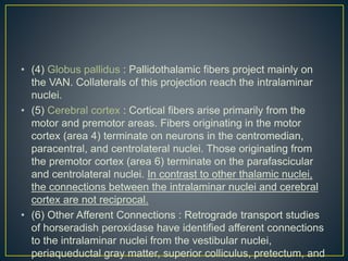 • (4) Globus pallidus : Pallidothalamic fibers project mainly on
the VAN. Collaterals of this projection reach the intralaminar
nuclei.
• (5) Cerebral cortex : Cortical fibers arise primarily from the
motor and premotor areas. Fibers originating in the motor
cortex (area 4) terminate on neurons in the centromedian,
paracentral, and centrolateral nuclei. Those originating from
the premotor cortex (area 6) terminate on the parafascicular
and centrolateral nuclei. In contrast to other thalamic nuclei,
the connections between the intralaminar nuclei and cerebral
cortex are not reciprocal.
• (6) Other Afferent Connections : Retrograde transport studies
of horseradish peroxidase have identified afferent connections
to the intralaminar nuclei from the vestibular nuclei,
periaqueductal gray matter, superior colliculus, pretectum, and
 