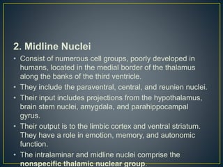 2. Midline Nuclei
• Consist of numerous cell groups, poorly developed in
humans, located in the medial border of the thalamus
along the banks of the third ventricle.
• They include the paraventral, central, and reunien nuclei.
• Their input includes projections from the hypothalamus,
brain stem nuclei, amygdala, and parahippocampal
gyrus.
• Their output is to the limbic cortex and ventral striatum.
They have a role in emotion, memory, and autonomic
function.
• The intralaminar and midline nuclei comprise the
nonspecific thalamic nuclear group.
 