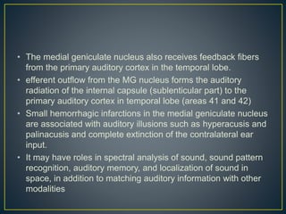 • The medial geniculate nucleus also receives feedback fibers
from the primary auditory cortex in the temporal lobe.
• efferent outflow from the MG nucleus forms the auditory
radiation of the internal capsule (sublenticular part) to the
primary auditory cortex in temporal lobe (areas 41 and 42)
• Small hemorrhagic infarctions in the medial geniculate nucleus
are associated with auditory illusions such as hyperacusis and
palinacusis and complete extinction of the contralateral ear
input.
• It may have roles in spectral analysis of sound, sound pattern
recognition, auditory memory, and localization of sound in
space, in addition to matching auditory information with other
modalities
 