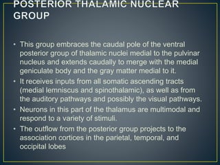 • This group embraces the caudal pole of the ventral
posterior group of thalamic nuclei medial to the pulvinar
nucleus and extends caudally to merge with the medial
geniculate body and the gray matter medial to it.
• It receives inputs from all somatic ascending tracts
(medial lemniscus and spinothalamic), as well as from
the auditory pathways and possibly the visual pathways.
• Neurons in this part of the thalamus are multimodal and
respond to a variety of stimuli.
• The outflow from the posterior group projects to the
association cortices in the parietal, temporal, and
occipital lobes
 