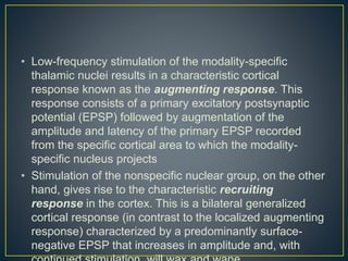 • Low-frequency stimulation of the modality-specific
thalamic nuclei results in a characteristic cortical
response known as the augmenting response. This
response consists of a primary excitatory postsynaptic
potential (EPSP) followed by augmentation of the
amplitude and latency of the primary EPSP recorded
from the specific cortical area to which the modality-
specific nucleus projects
• Stimulation of the nonspecific nuclear group, on the other
hand, gives rise to the characteristic recruiting
response in the cortex. This is a bilateral generalized
cortical response (in contrast to the localized augmenting
response) characterized by a predominantly surface-
negative EPSP that increases in amplitude and, with
 