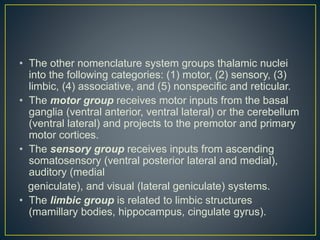 • The other nomenclature system groups thalamic nuclei
into the following categories: (1) motor, (2) sensory, (3)
limbic, (4) associative, and (5) nonspecific and reticular.
• The motor group receives motor inputs from the basal
ganglia (ventral anterior, ventral lateral) or the cerebellum
(ventral lateral) and projects to the premotor and primary
motor cortices.
• The sensory group receives inputs from ascending
somatosensory (ventral posterior lateral and medial),
auditory (medial
geniculate), and visual (lateral geniculate) systems.
• The limbic group is related to limbic structures
(mamillary bodies, hippocampus, cingulate gyrus).
 