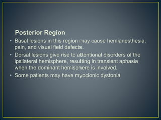 Posterior Region
• Basal lesions in this region may cause hemianesthesia,
pain, and visual field defects.
• Dorsal lesions give rise to attentional disorders of the
ipsilateral hemisphere, resulting in transient aphasia
when the dominant hemisphere is involved.
• Some patients may have myoclonic dystonia
 